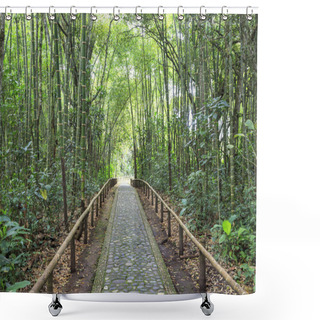 Personality  San Agustn Archaeological Park, Huila, Colombia Shower Curtains
