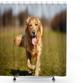 Personality  Purebred Dog Running Towards Camera Shower Curtains