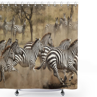 Personality  Herd Of Zebras Gallopping Shower Curtains