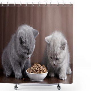 Personality  Bowl Of Cat Food And Two Kittens Shower Curtains
