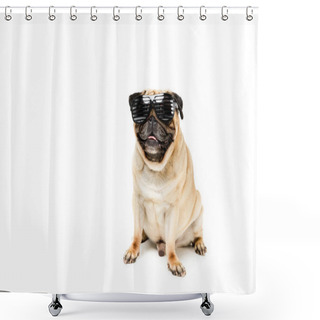 Personality  Stylish Dog In Sunglasses Shower Curtains