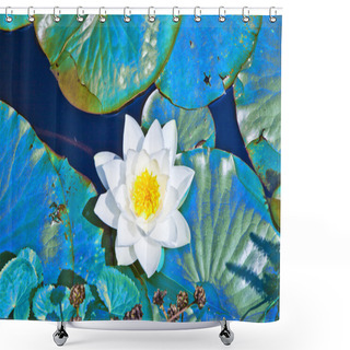Personality  White Lotus Water Lily In Lake Shower Curtains
