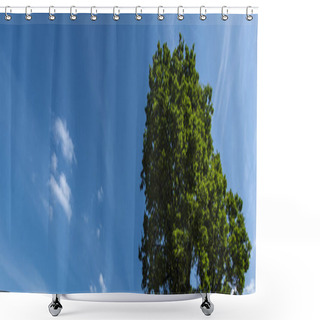 Personality  Low Angle View Of Cypress And Blue Sky With Clouds On Background, Panoramic Shot Shower Curtains