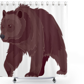 Personality  Bear Vector Shower Curtains