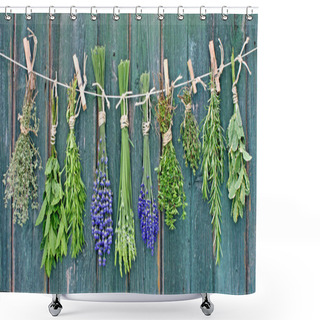 Personality  Herbs On Line Shower Curtains