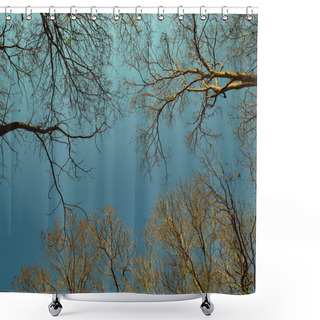 Personality  Autumn Sky Background Concept. Tree Without Leaf In Sunset Time With Autumn Sky Background In Cool Tone And Vintage Color Shower Curtains