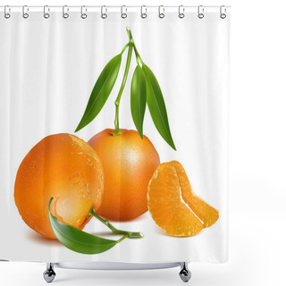 Personality  Fresh Tangerine Fruits Shower Curtains