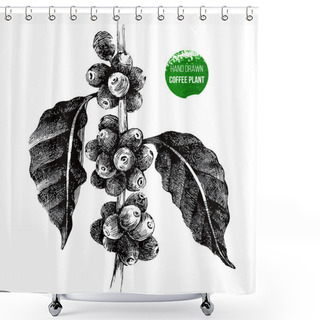 Personality  Hand Drawn Coffee Tree Branch Shower Curtains