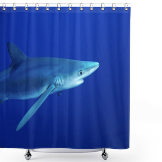 Personality  Blue Shark (Prionace Glauca) Shower Curtains