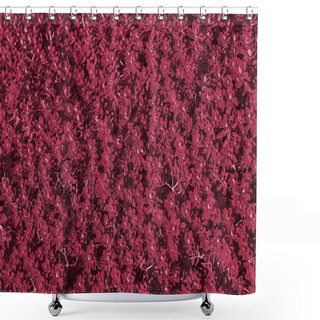 Personality  Natural Background Of Leaves Of Bush, Floral Pattren. Toned In Color Of Year 2023 Viva Magenta Shower Curtains