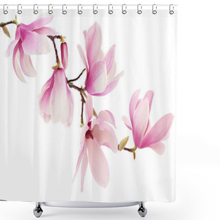Personality  Pink Spring Magnolia Flowers Branch Shower Curtains
