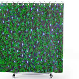 Personality  This Is A Mat Of Green Star Polyps Encrusting A Rock Shower Curtains