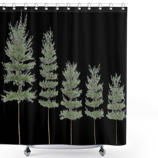 Personality  3d Illustration Of Set Terminalia Mantaly Tree Isolated On Black Background Shower Curtains