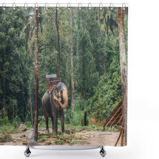 Personality  Elephant Shower Curtains
