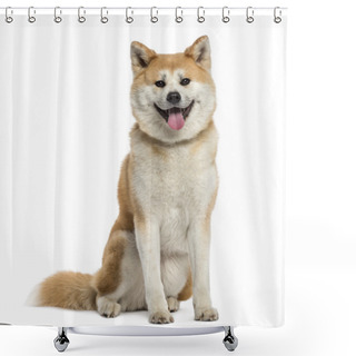 Personality  Akita Inu Panting Shower Curtains