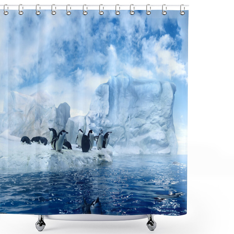 Personality  Penguins On Ice Floe Shower Curtains