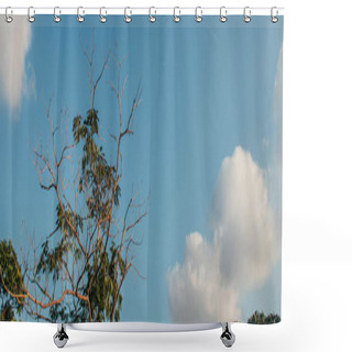 Personality  Tree With Leaves And Dry Branches Outdoors, Banner  Shower Curtains