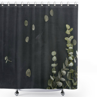 Personality  Green Eucalyptus Leaves And Branches Over Black Background Shower Curtains