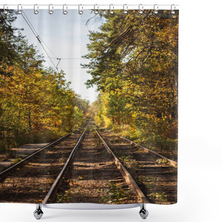 Personality  Railway In Scenic Autumnal Forest With Golden Foliage In Sunlight Shower Curtains