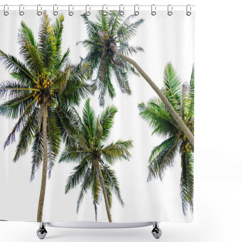 Personality  Palm Trees View From Below, Isolated On White Background. Shower Curtains