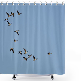 Personality  Flock Of Canada Geese Flying In A Blue Sky Shower Curtains