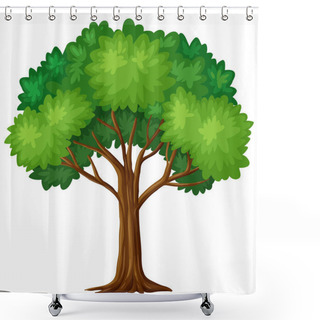 Personality  Green Tree On White Background Shower Curtains