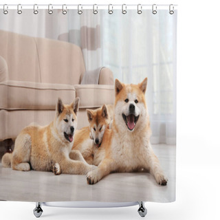 Personality  Adorable Akita Inu Dog And Puppies On Floor In Living Room Shower Curtains