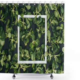 Personality  Top View Of White Square Frame And Beautiful Fresh Green Leaves  Shower Curtains