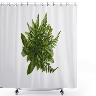Personality  Composition Of Fresh Green Fern Leaves Isolated On Grey Background Shower Curtains