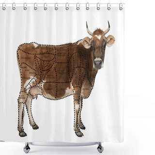 Personality  Portrait Of Brown Jersey Cow, 10 Years Old, Standing In Front Of White Background, Studio Shot Shower Curtains
