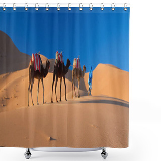Personality  Desert Camel Train, Sahara Desert, Morocco Shower Curtains