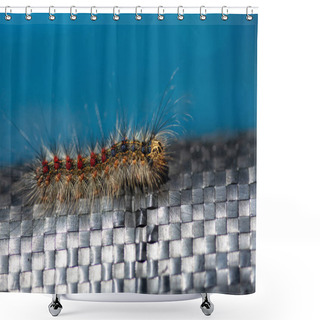 Personality  Gypsy Moth Caterpillar On Weaved Black Plastic Shower Curtains