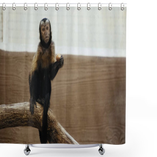 Personality  Wild Furry Monkey Sitting On Wooden Branch With Organic Potato Shower Curtains