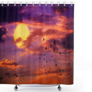 Personality  Bird Flying Shower Curtains