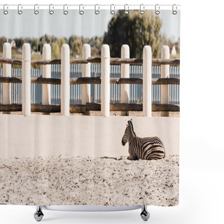 Personality  Striped Zebra Lying On Sand Near Fence  Shower Curtains