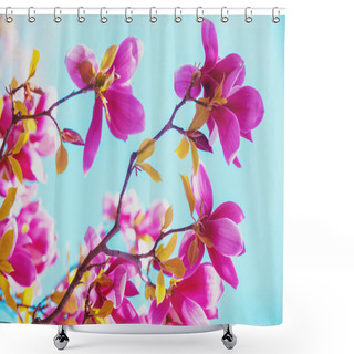 Personality  Blossoming Magnolia Flowers. Spring Background Shower Curtains