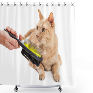 Personality  Beautiful Cat Being Brushed Shower Curtains