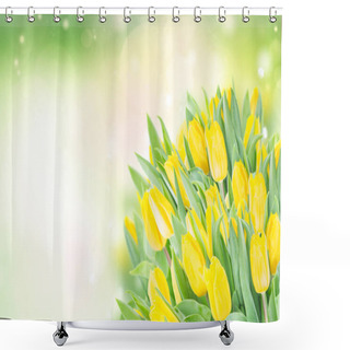 Personality  Spring Narcissus Garden Shower Curtains