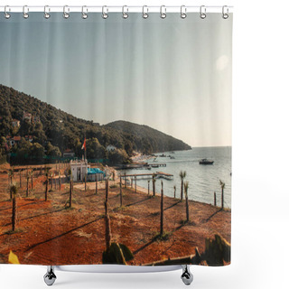 Personality  Plantation Of Young Palm Trees On Sea Coast Shower Curtains