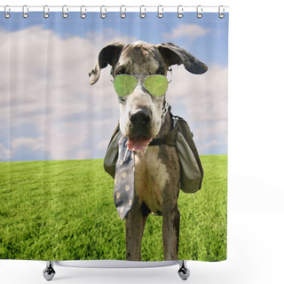 Personality  Great Dane With Backpack And Sunglasses Shower Curtains