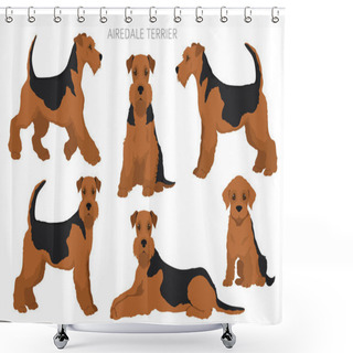 Personality  Airedale Terrier All Colours Clipart. Different Coat Colors Set. Vector Illustration Shower Curtains