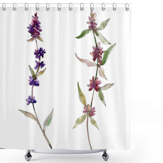 Personality  Purple Lavender Floral Botanical Flowers. Wild Spring Leaf Wildflower Isolated. Watercolor Background Illustration Set. Watercolour Drawing Fashion Aquarelle. Isolated Lavender Illustration Element. Shower Curtains