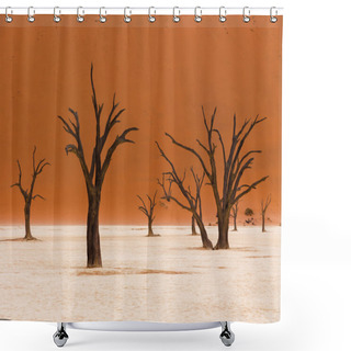 Personality  Namib Desert Sossusvlei Salt Lake Shower Curtains