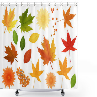 Personality  Big Set Of Realistic Vector Leaves And Flowers From Different Kind Of Trees Isolated. Shower Curtains