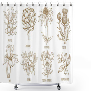 Personality  Hand-drawing Collection Of Medicinal Plants. Shower Curtains