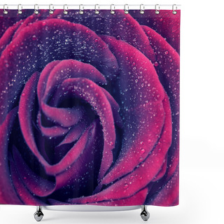 Personality  Beautiful Rose Background Shower Curtains