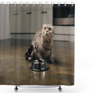 Personality  Cute Scottish Fold Cat Sitting On Floor Near Metal Bowl In Kitchen Shower Curtains