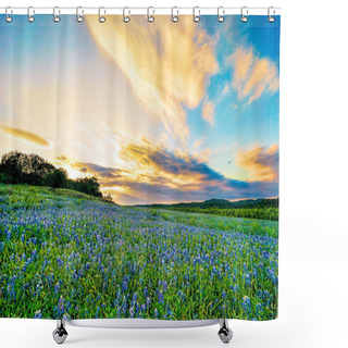 Personality  A Field Of Bluebonnets At Sunset (location: Muleshoe Bend, Texas) Shower Curtains