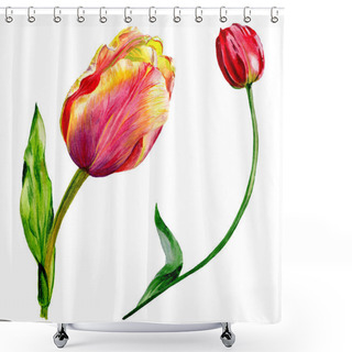 Personality  Amazing Red Tulip Flowers With Green Leaves. Hand Drawn Botanical Flowers. Watercolor Background Illustration. Isolated Red Tulips Illustration Element. Shower Curtains