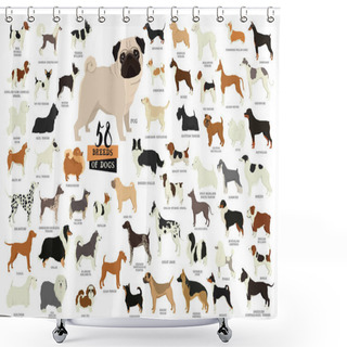 Personality  58 Breeds Of Dogs Isolated Objects Shower Curtains